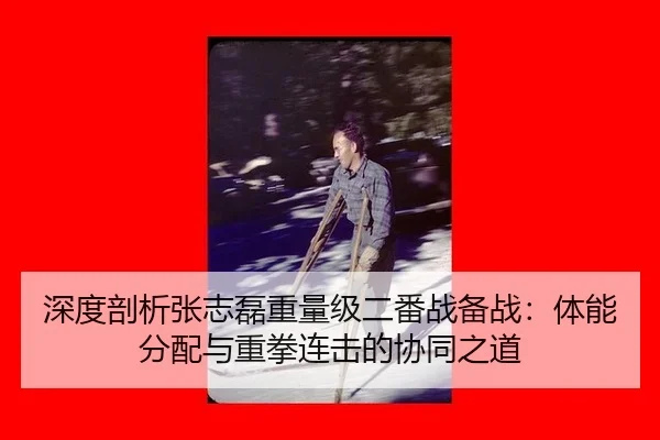 深度剖析张志磊重量级二番战备战：体能分配与重拳连击的协同之道