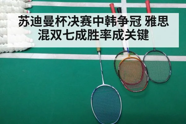 badminton final match